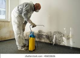 Reliable South Venice, FL Mold Removal Services Solutions